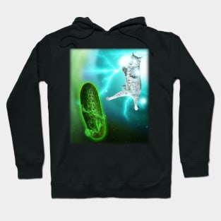 Cat Fighting Cucumber Hoodie